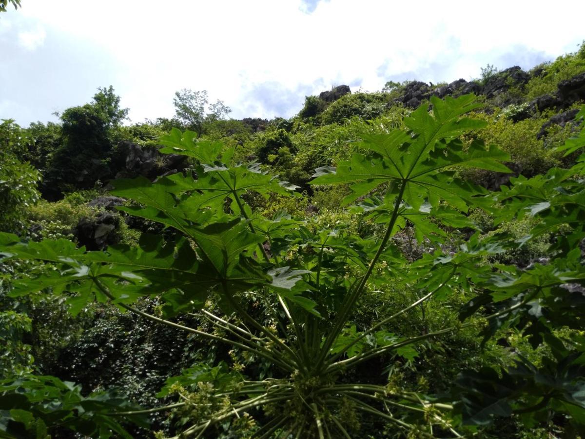 Ali Homestay Ninh Bình Kültér fotó