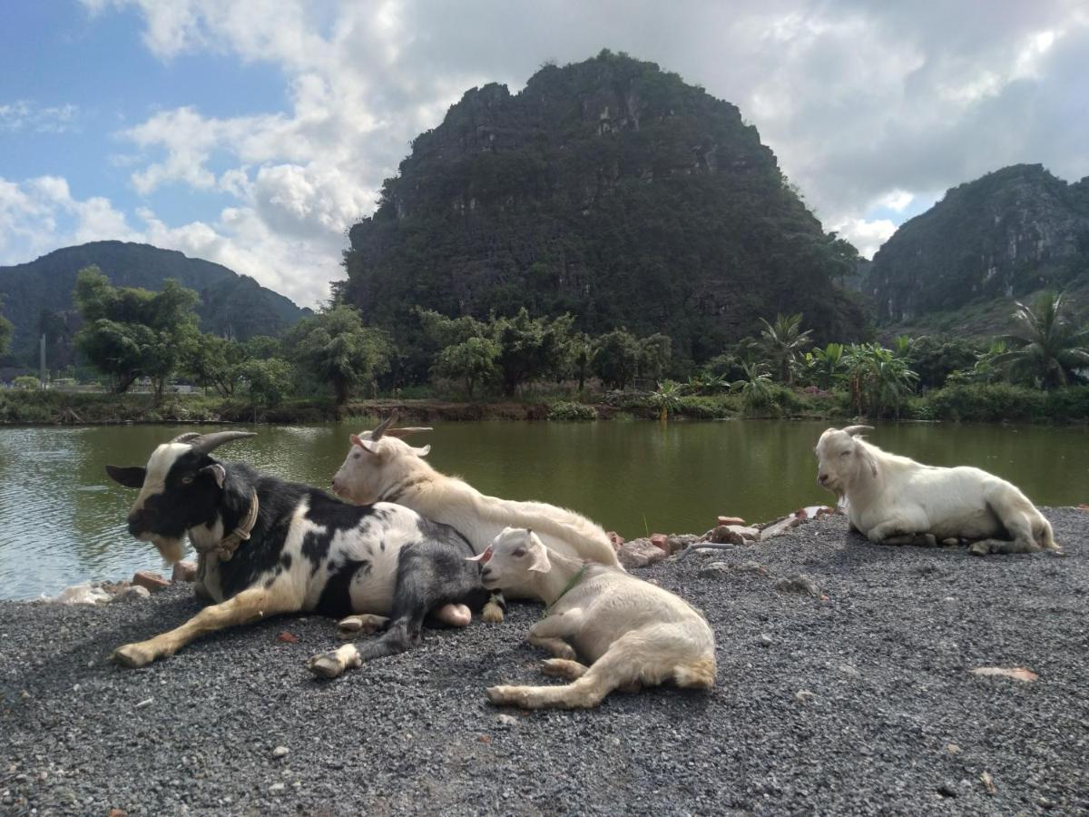 Ali Homestay Ninh Bình Kültér fotó